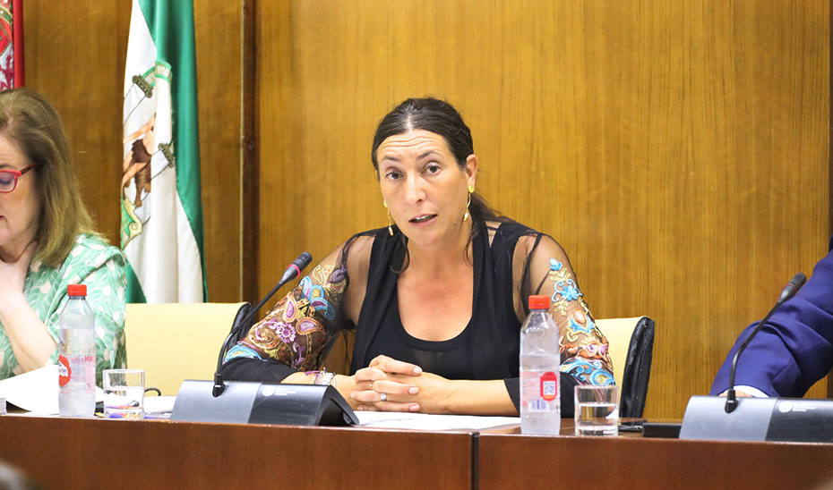 La consejera de Inclusión Social, Loles López, durante la comisión parlamentaria.